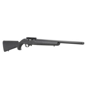 Ruger 10/22 For Sale