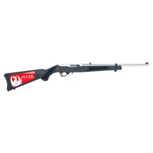 Ruger 10/22 Carbine 1256 For Sale