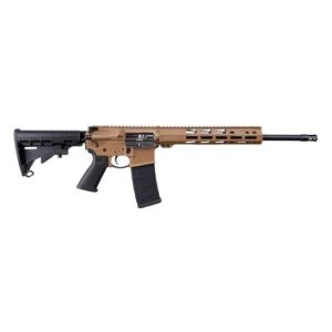 Ruger AR-556 For Sale