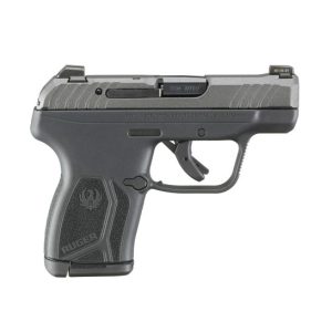 Ruger LCP Max 13721 For Sale